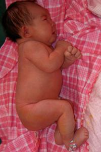Baby Catalina